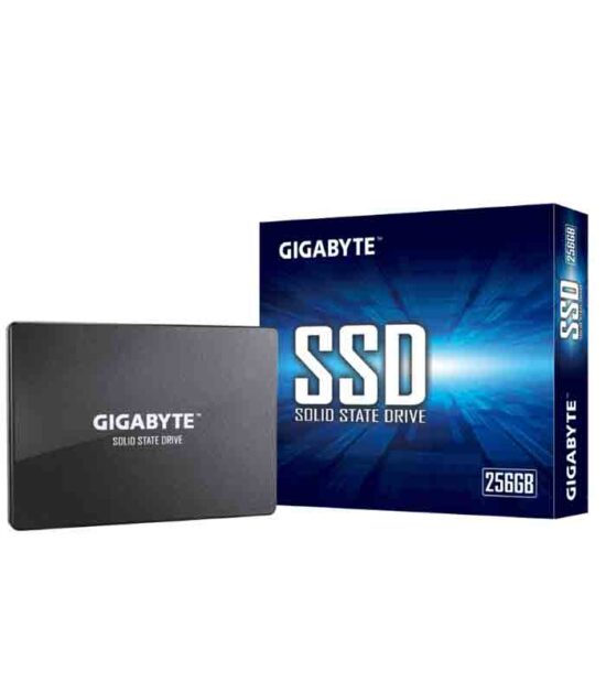GIGABYTE 256GB 2.5 SATA3 SSD GP-GSTFS31256GTND